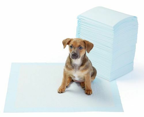 90 Count AmazonBasics Pet Training and Puppy Pads  Regular 22