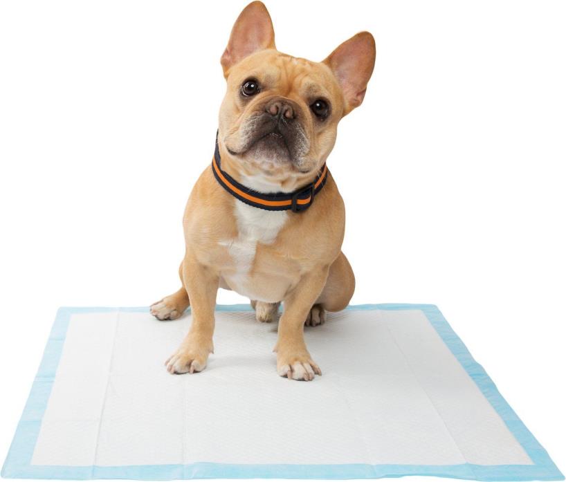 75 pcs 22 x 23 Dog puppy housebreaking Wee Wee Pee Potty training pads underpad