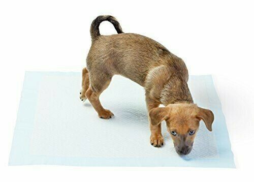 AmazonBasics Pet Training and Puppy Pads, Regular - 100 Count