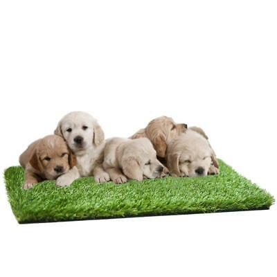 Potty Trainer Indoor Restroom Pets Puppy Dogs Artificial Grass Turf Non Toxic