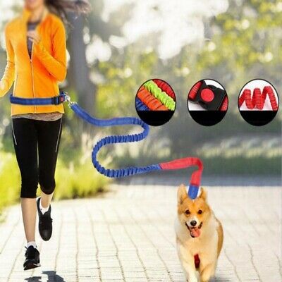 New Running Dog Reflective Leash Pet Hands Free Walking Waist Hiking Belt Adjust