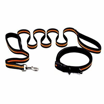 Reflective Dog Leash & Collar with Padded Double Handle Flat Nylon rope and H...