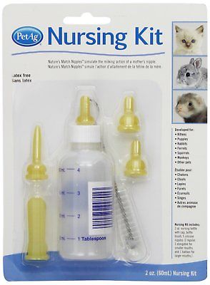 Pet Ag Nursing Kit | 2 oz Bottle with 5 Silicone Nipples | For Small Animals