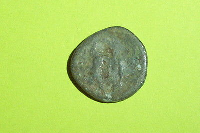 Antigonus Gonatas 239 BC ancient GREEK COIN pan trophy Athena goddess G treasure