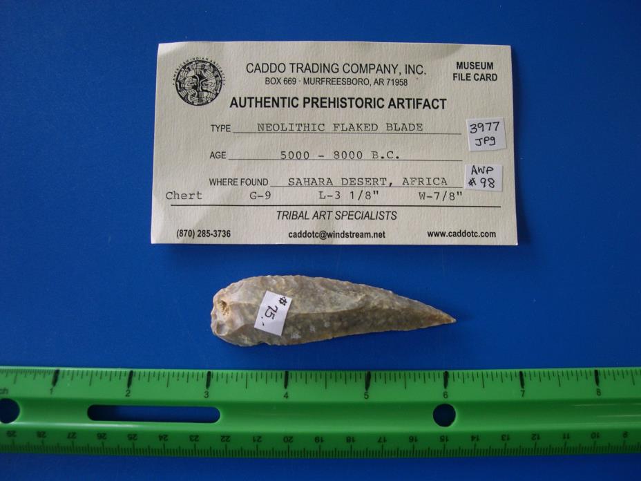 3977 Large Authentic Neolithic Flaked Blade G-9 COA African Relic $75