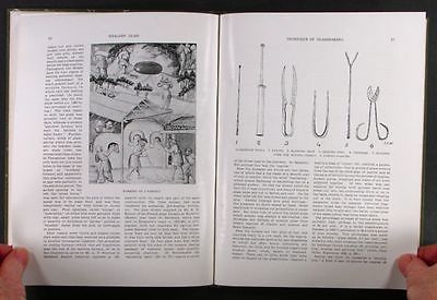 English Medieval & Renaissance Glass - Weald Surrey + Essex Glassmakers