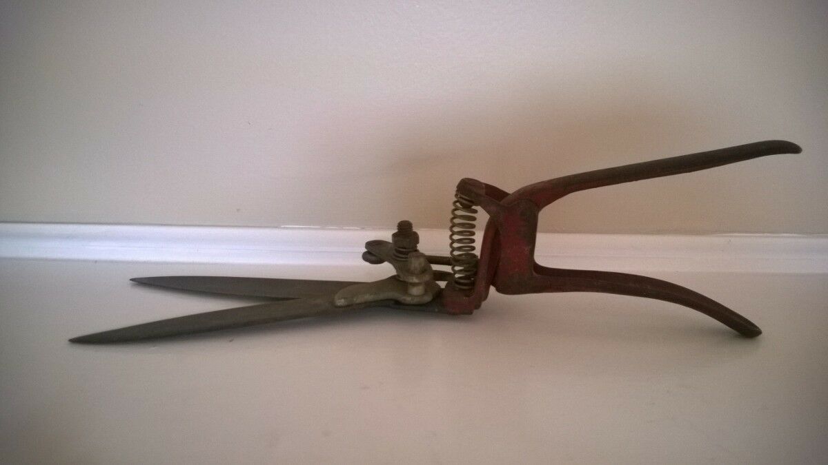 VINTAGE Plant Flowers TRIMMERS SHEARS Pruners Old Farm Garden Tools Rustic Decor