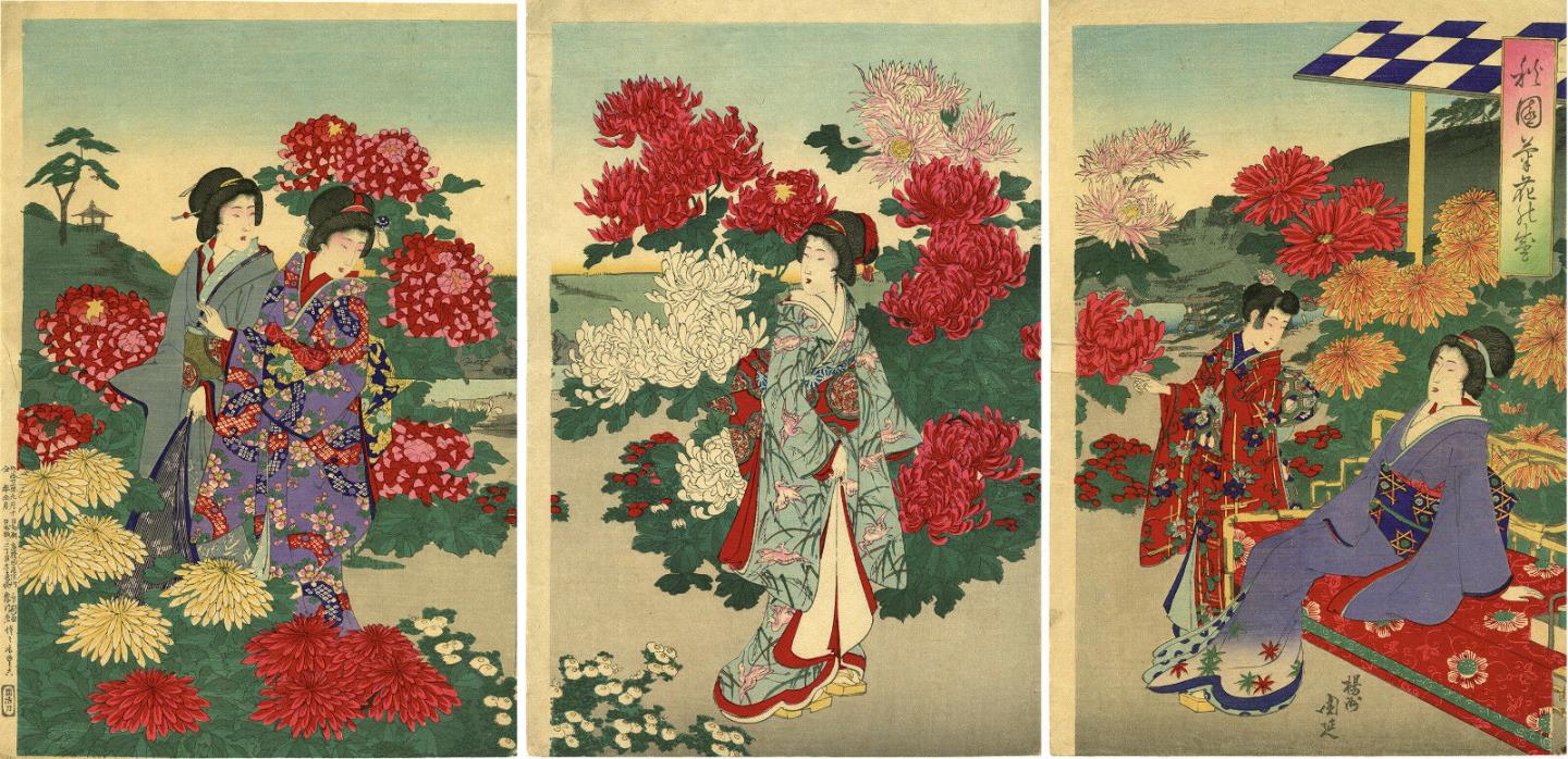 CHIKANOBU Japanese ukiyo-e woodblock print  “BEAUTIES IN A CHRYSANTHEMUM GARDEN”