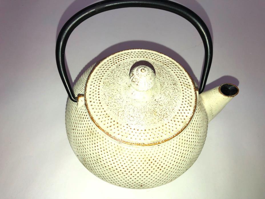 Vintage KOTOBUKI  TETSUBIN Japan Iron Teapot with Mesh Tealeaf Basket