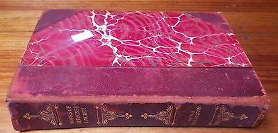 1900 Works of Alphonse Daudet Numa Roumestan Rose and Ninette Antique Book LE