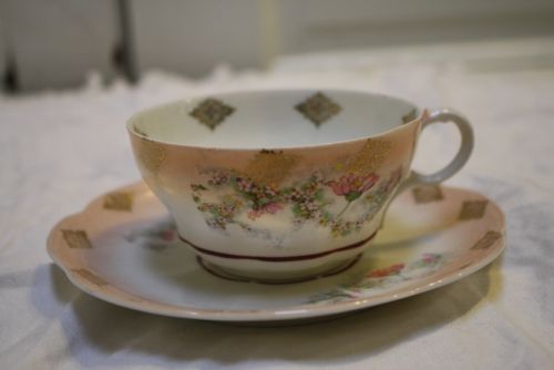 Antique Tea Cup & Saucer Imperial China Austria Peach Gilt Wild Flowers Sculpted