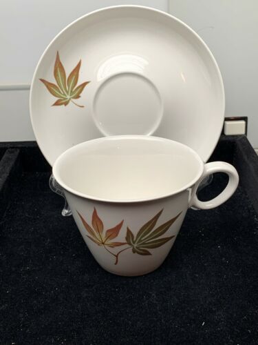 vintage Franciscan Tea Cup And Saucer Lt 436