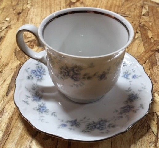WINTERLING BAVARIA GERMANY China Cup and Saucer  Blue Floral Pattern   NICE!