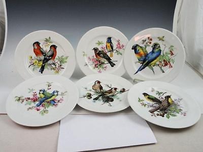 6 Very Colorful Schumann Arzberg Golden Crown Exotic Bird Plates