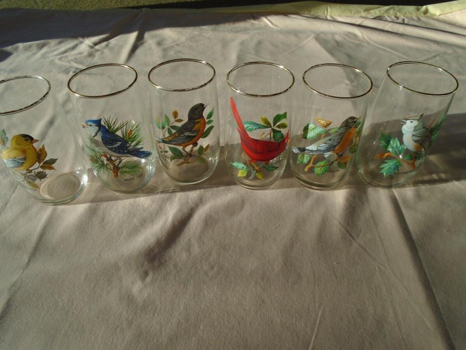 six clear antique drinking grasses with hand painted birds