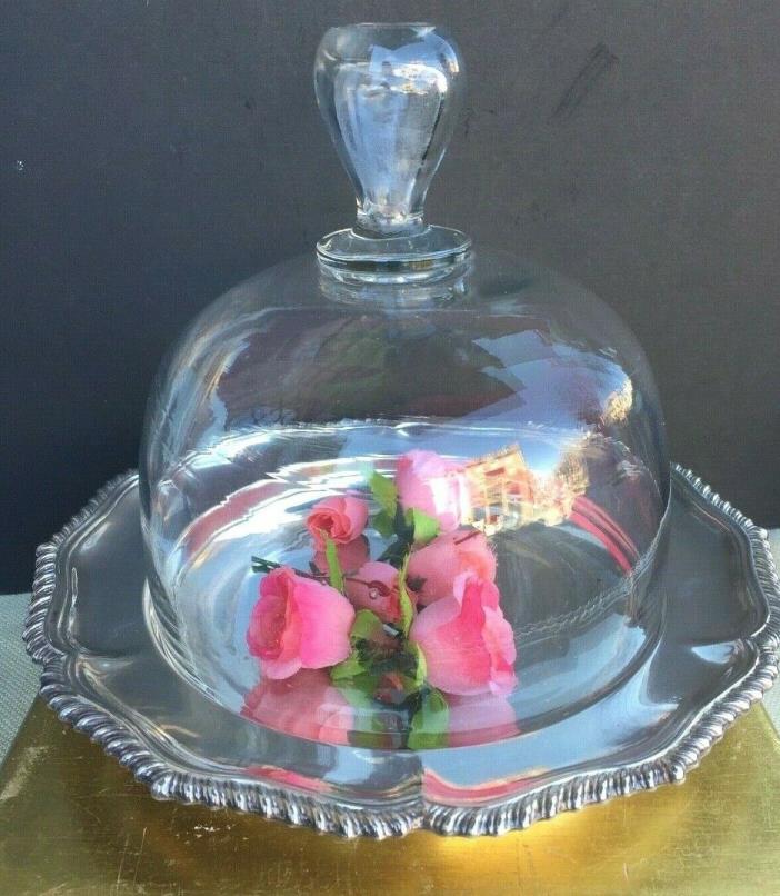Antique French Glass Cloche Dome With Antique English Plate