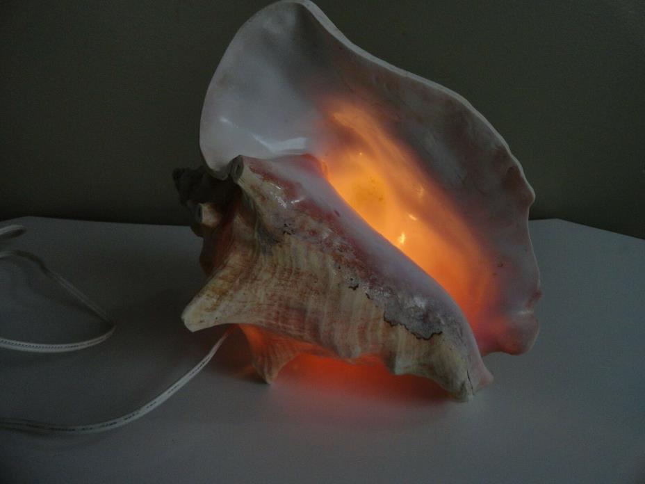 Vintage Large Conch Pink glowing Seashell Sea Shell TV Night Light 9