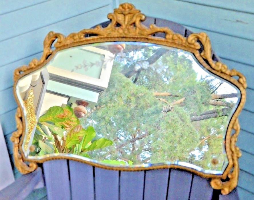 Antique Victorian Etched Flower Mirror  Ornate Wood Frame 20