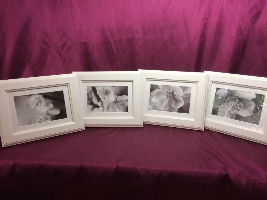 Flowering Dogwood Photographs in White Frames, Set of Four, 9 1/2
