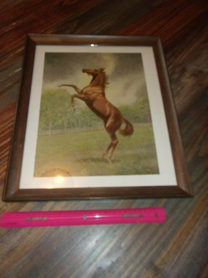 Vtg Horse Print Picture Mid Century Wood Frame Under Glass 17