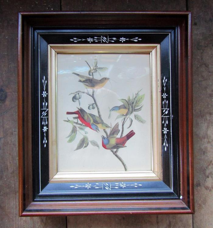ANTIQUE WALNUT FRAME WITH AESTHETIC LINER COLORED BIRDS PRINT