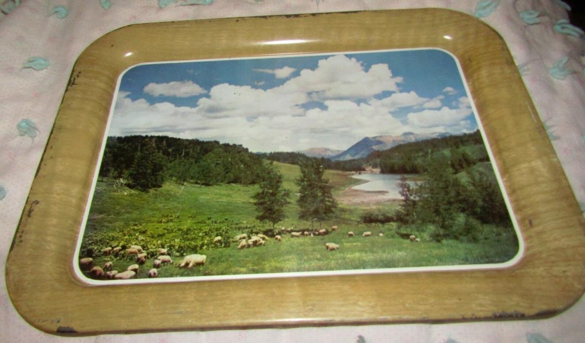 Vintage Painted Tin Tray Photograph Mountains Scene Lake Sheep 18