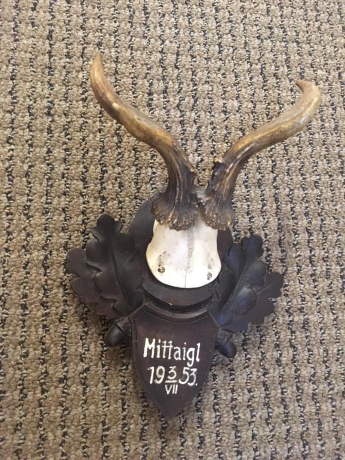 Different antler wooden handcarved Black forest teeth stag horn taxidermy dated