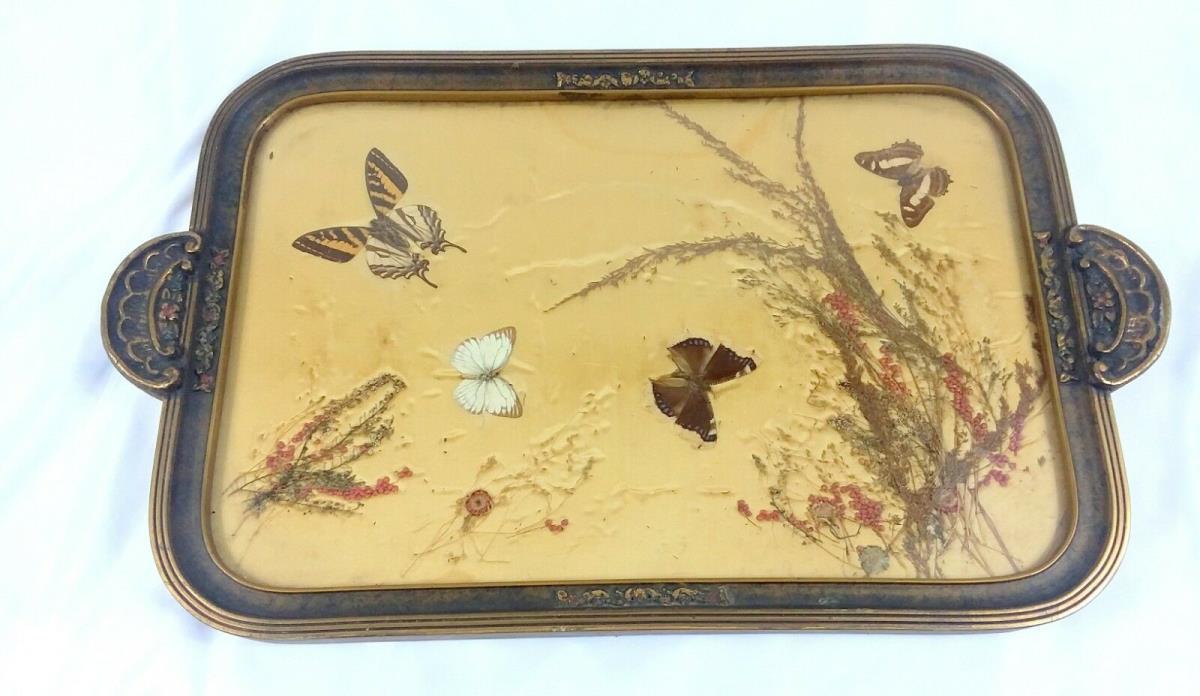 Art Deco butterfly tray with real butterfly's and dried flowers polychrome paint
