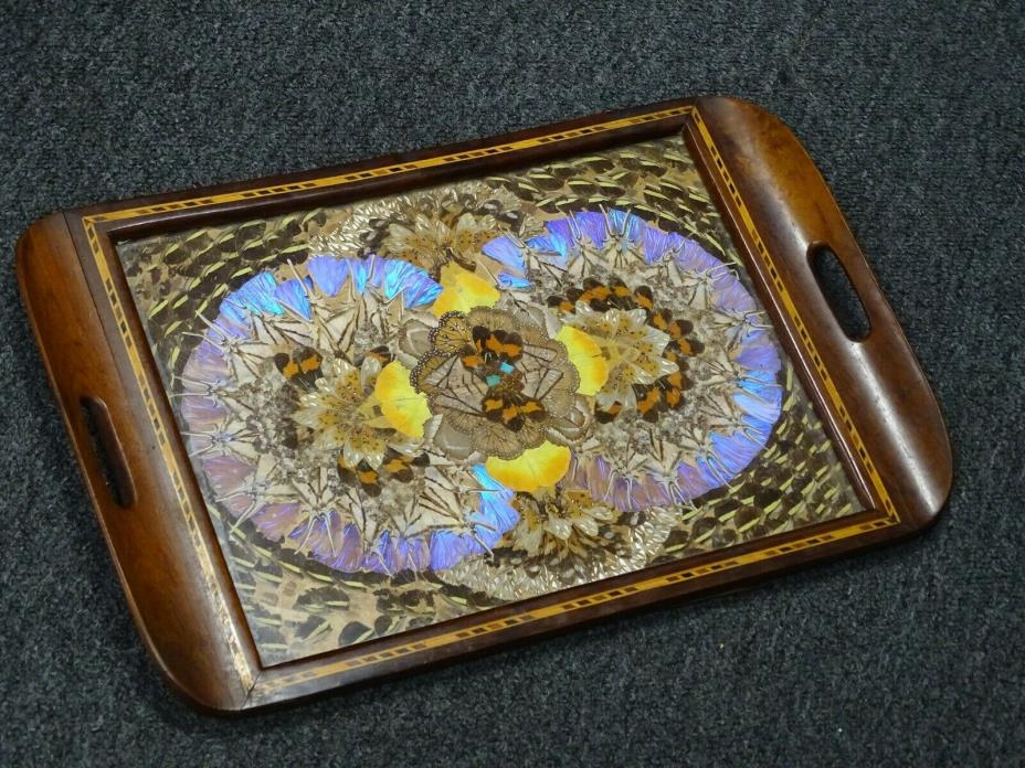 Beautiful Art Deco Butterfly Wing Tray Glass Inlay Wood Handled Frame