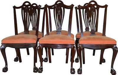 17317  Set of 6 Mahogany Carved Ball and Claw Chairs by Horner