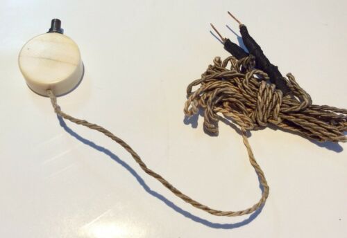 Rare c1890s Early Electric Victorian Bone Call Button For The Elite