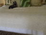 Hand Crochet Multi Pattern TABLECLOTH or Victorian-style Bed COVERLET's  *Lot
