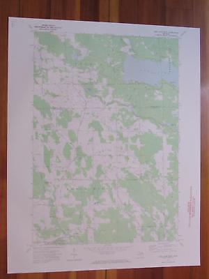 Long Lake West Michigan 1974 Original Vintage USGS Topo Map