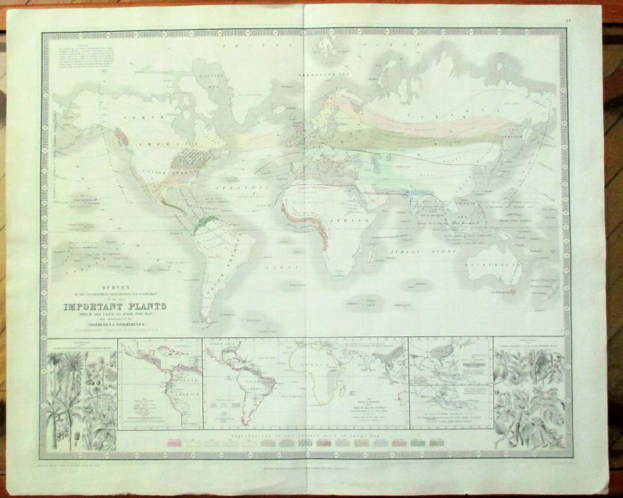 RARE MAP 1845:  SURVEY...GEOGRAPHICAL DISTRIBUTION & CULTIVATION OF...PLANTS