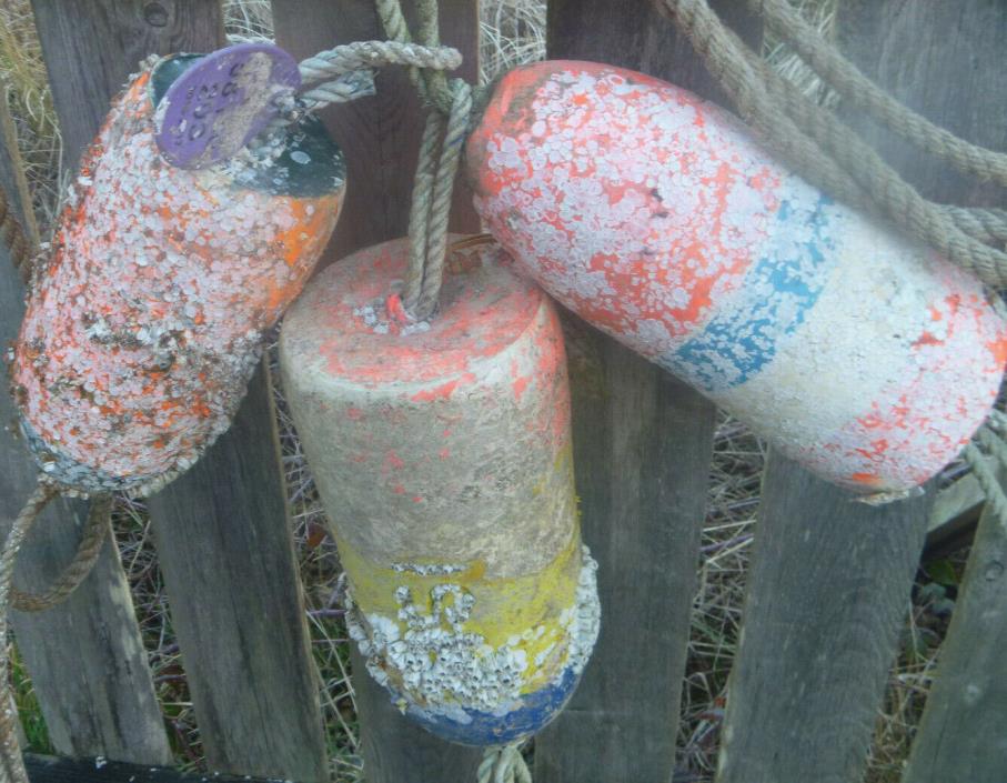 CRAB POT FLOATS 3 Beachcombed Orange Yellow BARNACLES Buoy Ocean Tiki 19.8