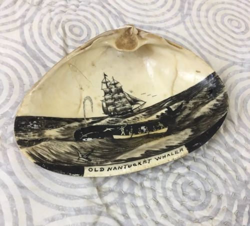 Amazing Original Scrimshaw Whale Clipper Clamshell 