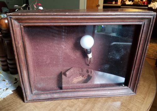 Antique Display Showcase Box Wood Window Glass Felt Lined Lighted Custom 16x6x11