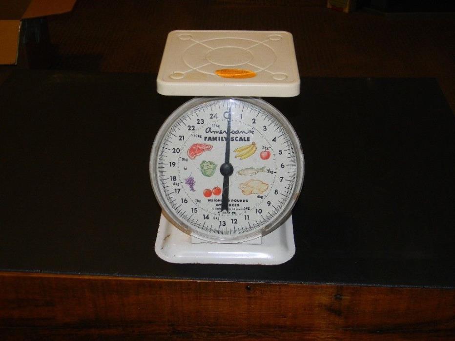 VINTAGE AMERICAN FAMILY 25 LB POUND BY OUNCES KITCHEN COUNTER FOOD SCALE WHITE