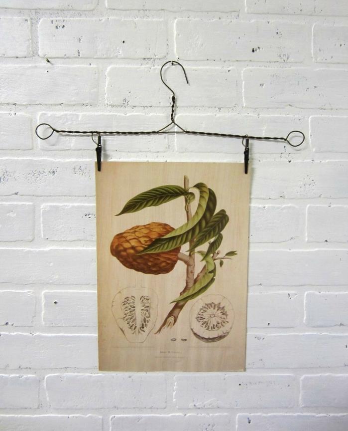 2 Vintage Rusty Primitive Wire Hangers with Clips Art Display Picture hanger