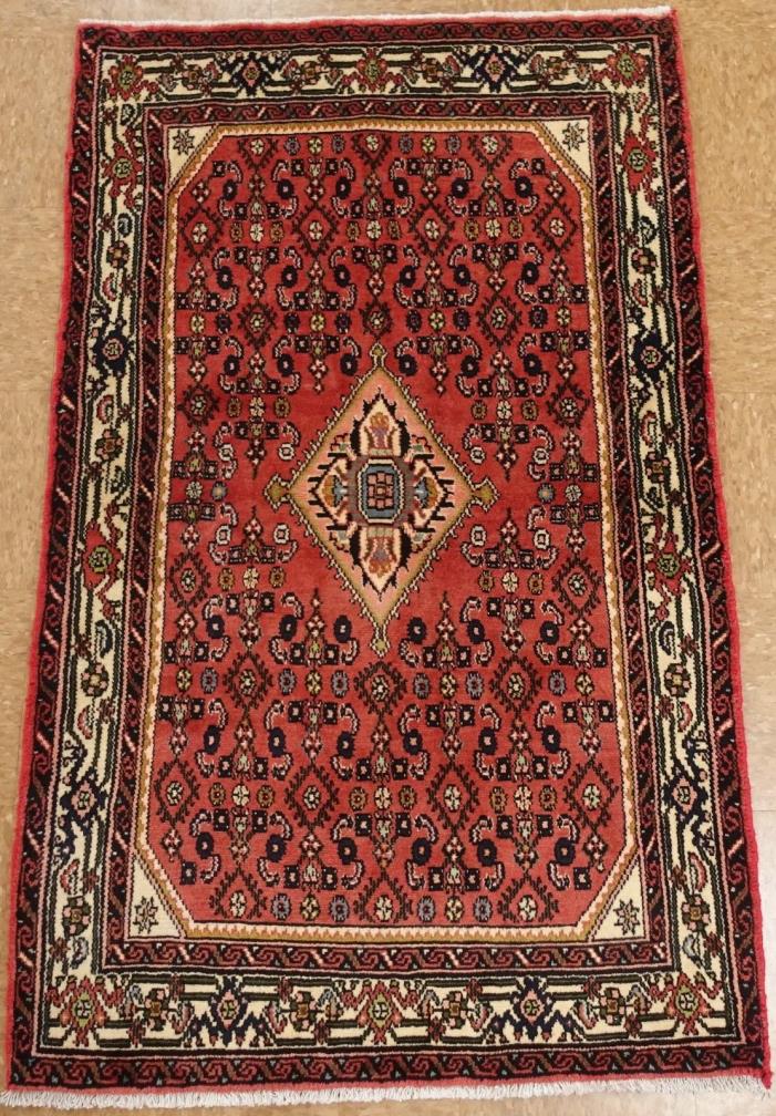 Persian Hamedan Rug Tribal Hand Knotted Wool RED Elaborate Oriental 3.4 x 5.4