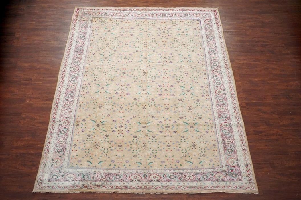 Antique 9X11 Cotton Agra Area Rug 1920s Hand Knotted Indian Carpet (9.1 x 11.5)