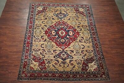 Antique 9X11 Indian Agra Area Rug 1900's Hand-Knotted Wool Carpet(8.9 x 11.3)