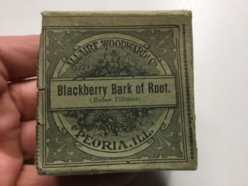 Vintage Crude Drug Box, Blackberry Bark Of Root, Allaire, Woodward & Co.