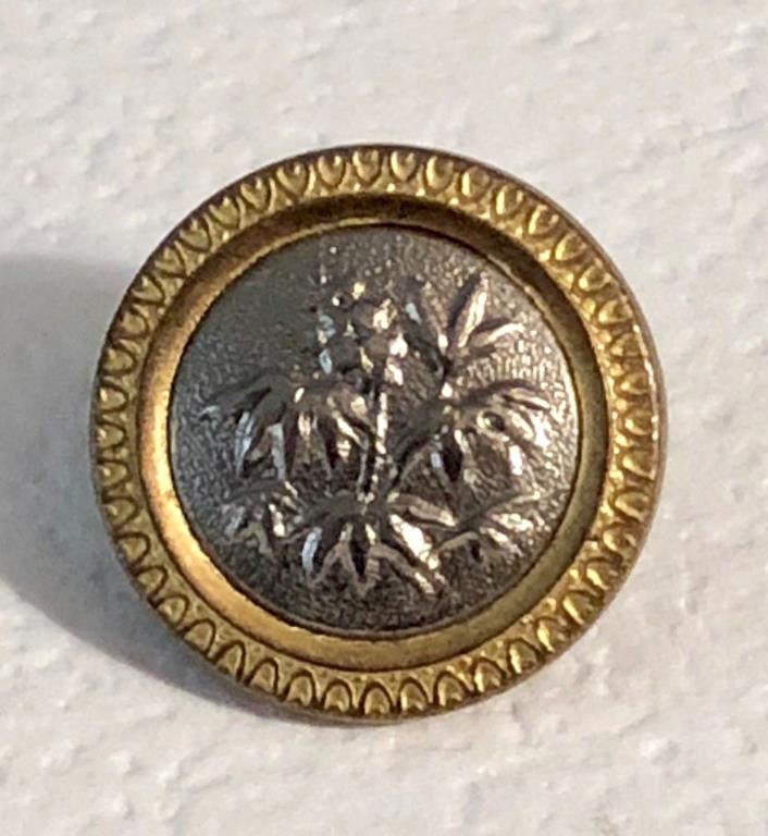 Antique White Metal Rimmed in Brass Button - Castor Bean Plant - Paris Back