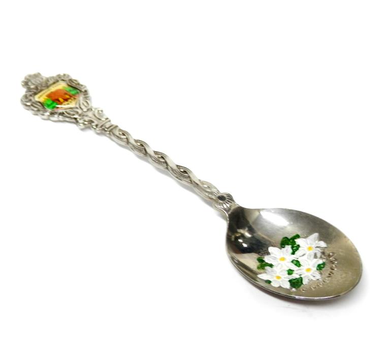 Vintage British Columbia CANADA Souvenir Spoon Dogwood Flowers Manning Park 5