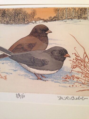 M R Bebb Juncos Art 87/150 1974 Bird Color Etching Print Picture New Old