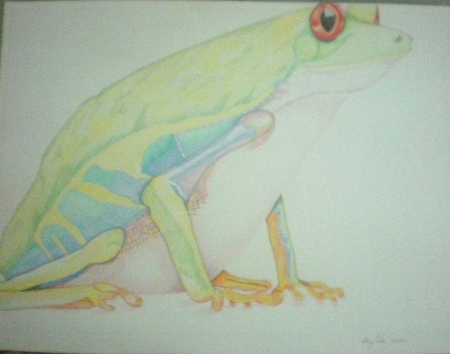 Original Artist Rendering of Red-Eyed Tree Frog Colored Pencil Signed Dated