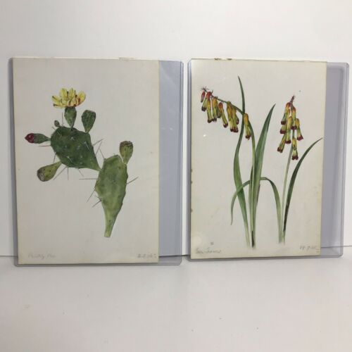 Emily C Smith English Botanicals Watercolor Paper Painting Prickly Pear Floral