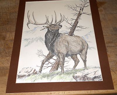 Pencil Elk Print Signed and Numbered 103/500 Very Nice