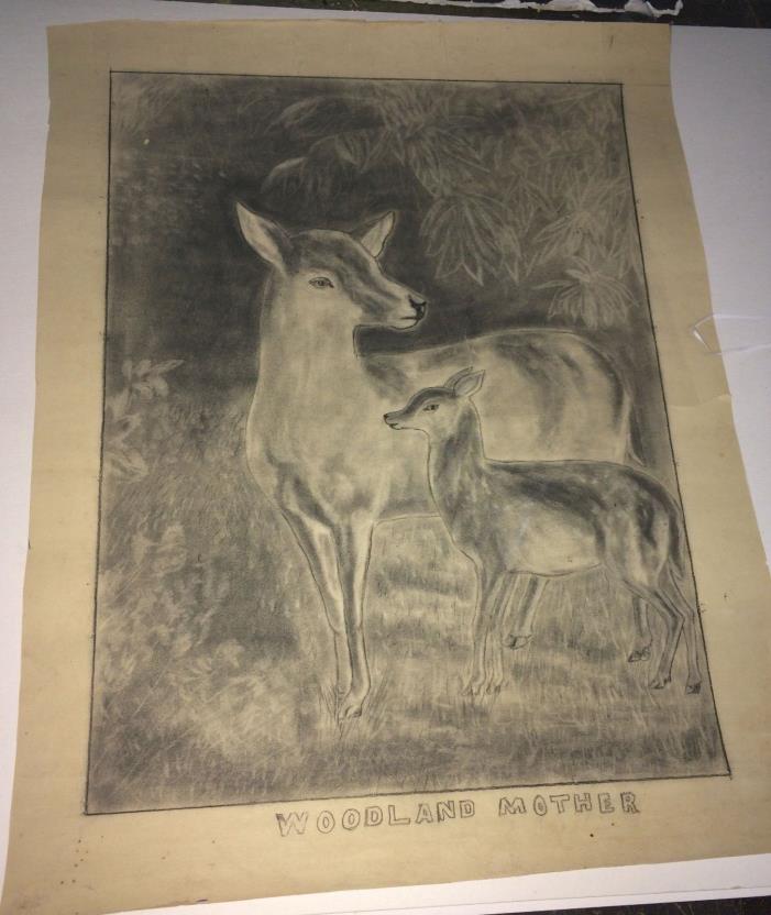 Vtg Naive Primitive Pencil Drawing Deer Fawn Woodland Mother Hand Done